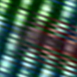 Songs und Clips 5
